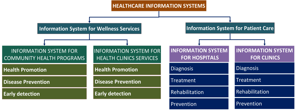Best Hospital Information System (HIS) Software Development Companies