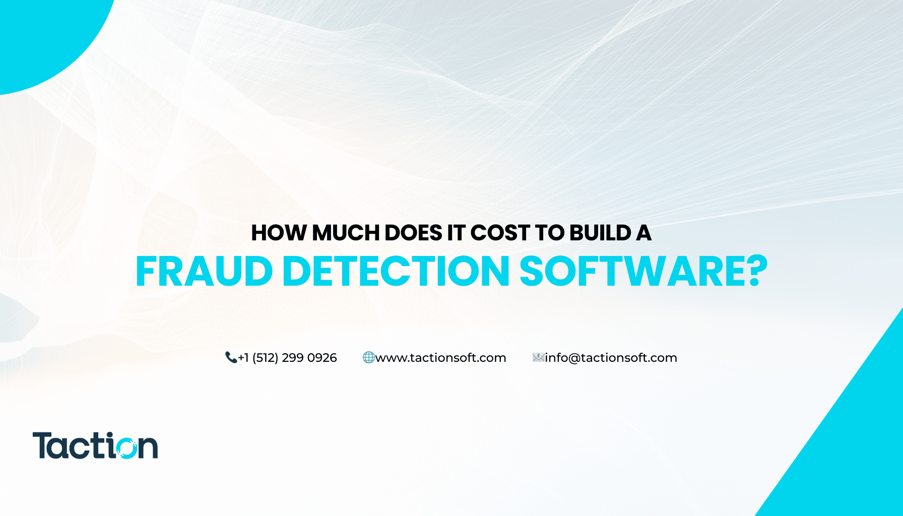 How Much Does It Cost to Build a Fraud Detection Software?